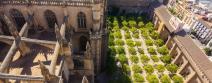 Tour Visita Guiada Catedral y Giralda Sevilla