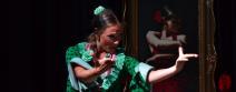 Espectáculo de flamenco Granada