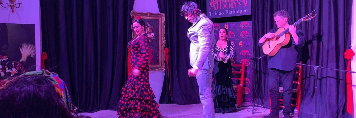 Espectáculo de flamenco Granada